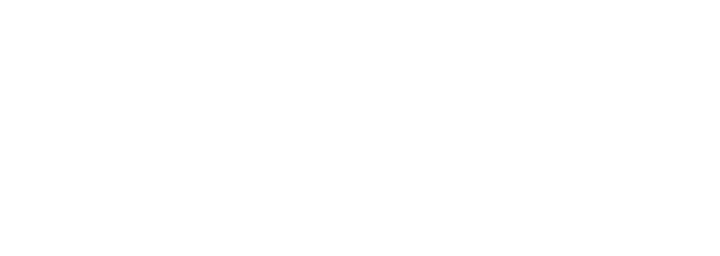 XCub logo